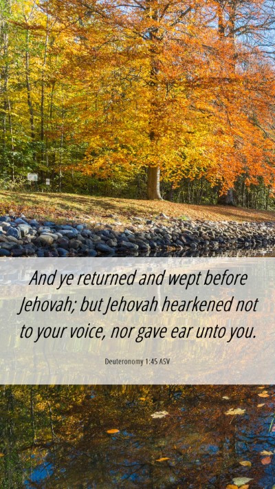 Picture 06 - Deuteronomy 1:45 ASV Mobile Phone Wallpaper - And ye returned and wept before Jehovah; but - Mobile Bible Verse Wallpaper