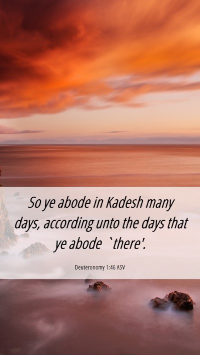 Picture 06 - Deuteronomy 1:46 ASV Mobile Phone Wallpaper - So ye abode in Kadesh many days, according unto - Mobile Bible Verse Wallpaper