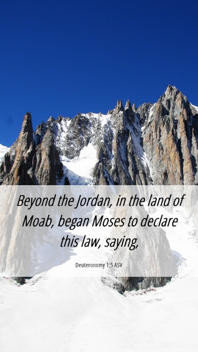 Picture 06 - Deuteronomy 1:5 ASV Mobile Phone Wallpaper - Beyond the Jordan, in the land of Moab, began - Mobile Bible Verse Wallpaper