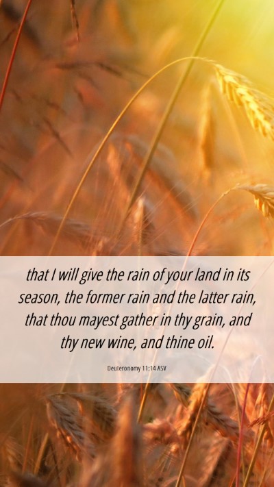 Picture 06 - Deuteronomy 11:14 ASV Mobile Phone Wallpaper - that I will give the rain of your land in its - Mobile Bible Verse Wallpaper