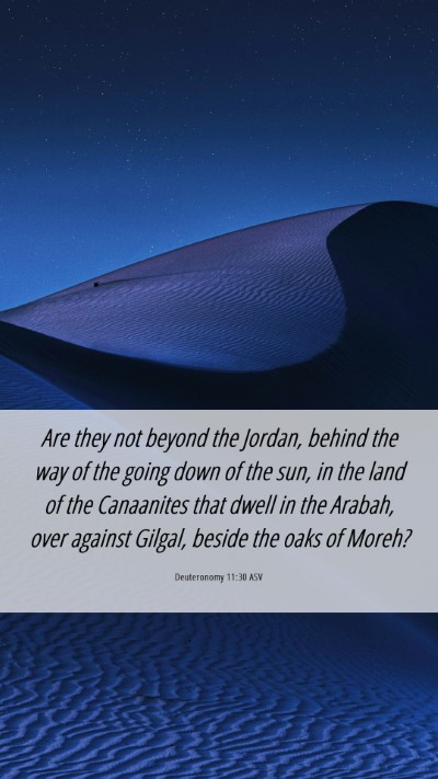 Picture 06 - Deuteronomy 11:30 ASV Mobile Phone Wallpaper - Are they not beyond the Jordan, behind the way of - Mobile Bible Verse Wallpaper
