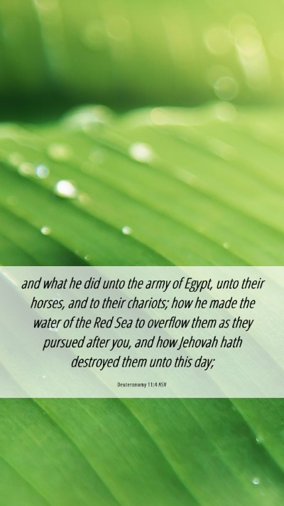 Picture 06 - Deuteronomy 11:4 ASV Mobile Phone Wallpaper - and what he did unto the army of Egypt, unto - Mobile Bible Verse Wallpaper