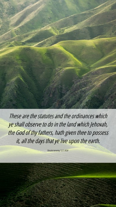 Picture 06 - Deuteronomy 12:1 ASV Mobile Phone Wallpaper - These are the statutes and the ordinances which - Mobile Bible Verse Wallpaper