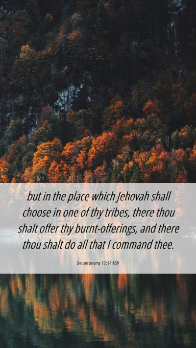 Picture 06 - Deuteronomy 12:14 ASV Mobile Phone Wallpaper - but in the place which Jehovah shall choose in - Mobile Bible Verse Wallpaper
