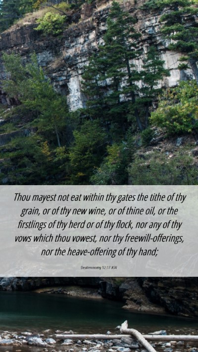Picture 06 - Deuteronomy 12:17 ASV Mobile Phone Wallpaper - Thou mayest not eat within thy gates the tithe of - Mobile Bible Verse Wallpaper