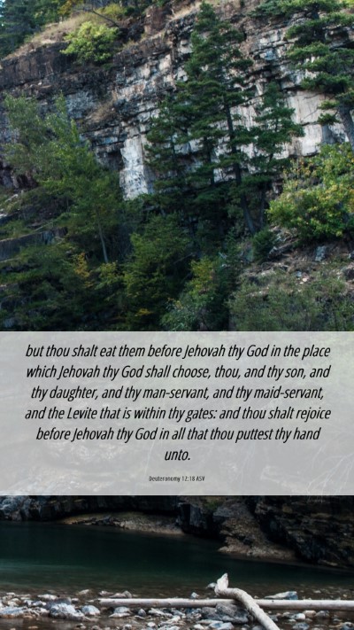 Picture 06 - Deuteronomy 12:18 ASV Mobile Phone Wallpaper - but thou shalt eat them before Jehovah thy God in - Mobile Bible Verse Wallpaper