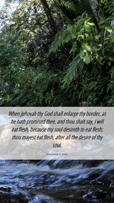 Picture 06 - Deuteronomy 12:20 ASV Mobile Phone Wallpaper - When Jehovah thy God shall enlarge thy border, as - Mobile Bible Verse Wallpaper