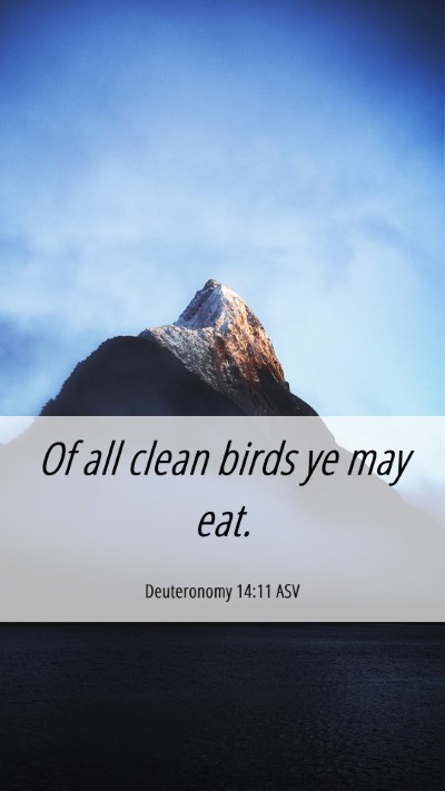 Picture 06 - Deuteronomy 14:11 ASV Mobile Phone Wallpaper - Of all clean birds ye may - Mobile Bible Verse Wallpaper