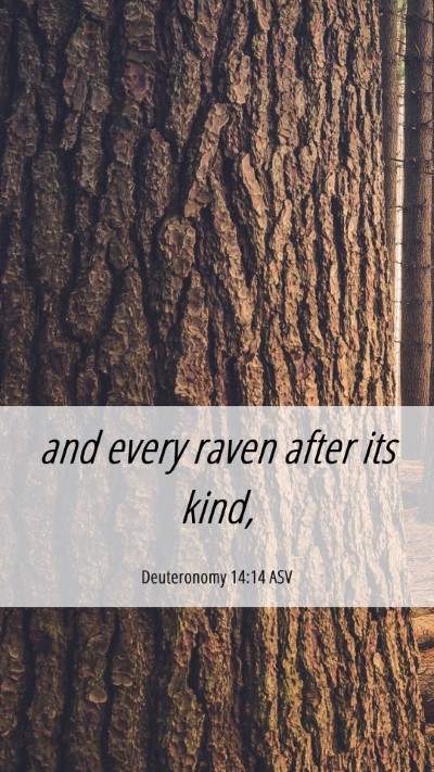Picture 06 - Deuteronomy 14:14 ASV Mobile Phone Wallpaper - and every raven after its - Mobile Bible Verse Wallpaper