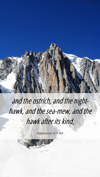 Picture 06 - Deuteronomy 14:15 ASV Mobile Phone Wallpaper - and the ostrich, and the night-hawk, and the - Mobile Bible Verse Wallpaper