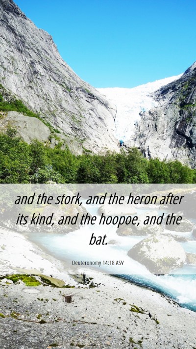 Picture 06 - Deuteronomy 14:18 ASV Mobile Phone Wallpaper - and the stork, and the heron after its kind, and - Mobile Bible Verse Wallpaper