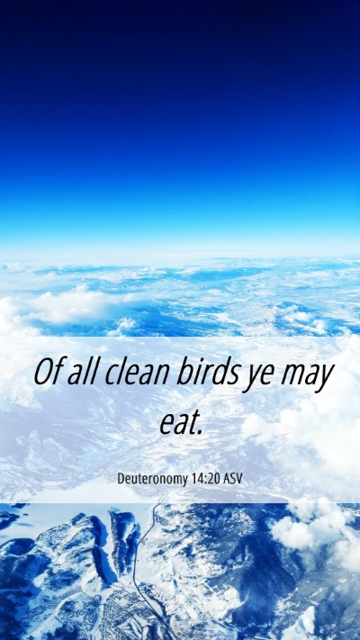 Picture 06 - Deuteronomy 14:20 ASV Mobile Phone Wallpaper - Of all clean birds ye may - Mobile Bible Verse Wallpaper