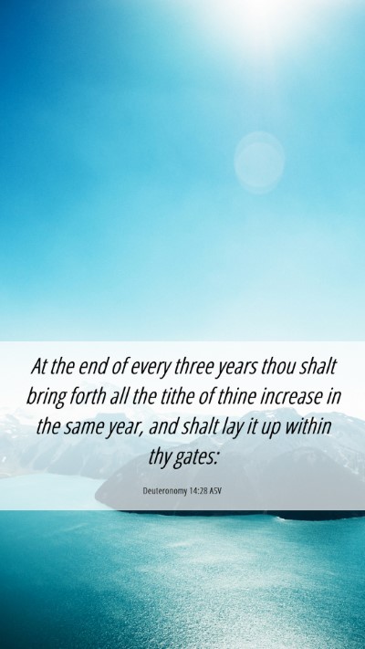 Picture 06 - Deuteronomy 14:28 ASV Mobile Phone Wallpaper - At the end of every three years thou shalt bring - Mobile Bible Verse Wallpaper