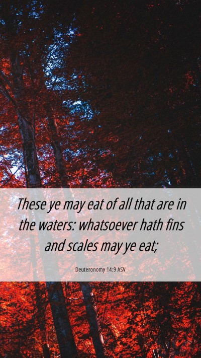 Picture 06 - Deuteronomy 14:9 ASV Mobile Phone Wallpaper - These ye may eat of all that are in the waters: - Mobile Bible Verse Wallpaper