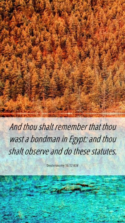 Picture 06 - Deuteronomy 16:12 ASV Mobile Phone Wallpaper - And thou shalt remember that thou wast a bondman - Mobile Bible Verse Wallpaper