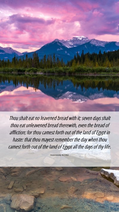 Picture 06 - Deuteronomy 16:3 ASV Mobile Phone Wallpaper - Thou shalt eat no leavened bread with it; seven - Mobile Bible Verse Wallpaper