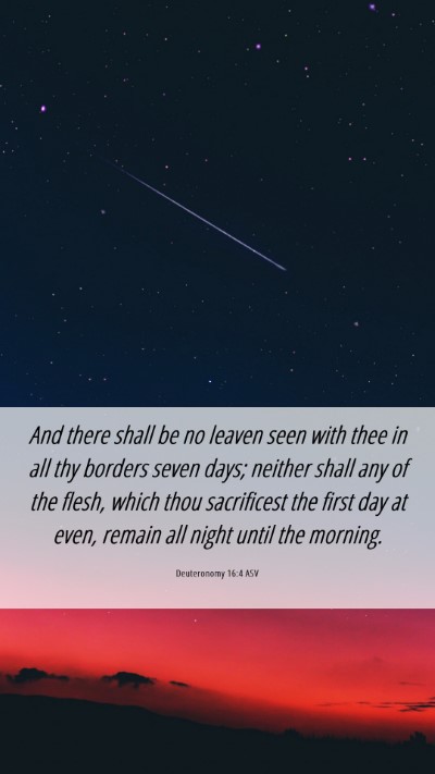 Picture 06 - Deuteronomy 16:4 ASV Mobile Phone Wallpaper - And there shall be no leaven seen with thee in - Mobile Bible Verse Wallpaper