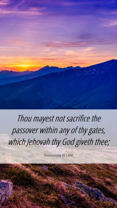 Picture 06 - Deuteronomy 16:5 ASV Mobile Phone Wallpaper - Thou mayest not sacrifice the passover within any - Mobile Bible Verse Wallpaper