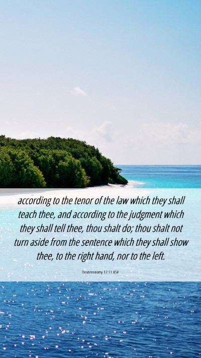 Picture 06 - Deuteronomy 17:11 ASV Mobile Phone Wallpaper - according to the tenor of the law which they - Mobile Bible Verse Wallpaper
