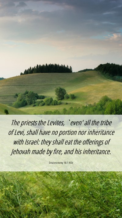 Picture 06 - Deuteronomy 18:1 ASV Mobile Phone Wallpaper - The priests the Levites, `even' all the tribe of - Mobile Bible Verse Wallpaper