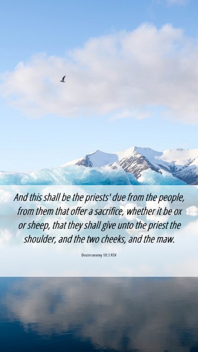 Picture 06 - Deuteronomy 18:3 ASV Mobile Phone Wallpaper - And this shall be the priests' due from the - Mobile Bible Verse Wallpaper