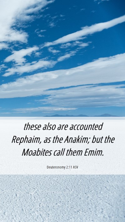 Picture 06 - Deuteronomy 2:11 ASV Mobile Phone Wallpaper - these also are accounted Rephaim, as the Anakim; - Mobile Bible Verse Wallpaper