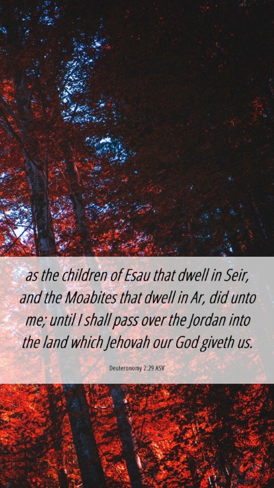 Picture 06 - Deuteronomy 2:29 ASV Mobile Phone Wallpaper - as the children of Esau that dwell in Seir, and - Mobile Bible Verse Wallpaper