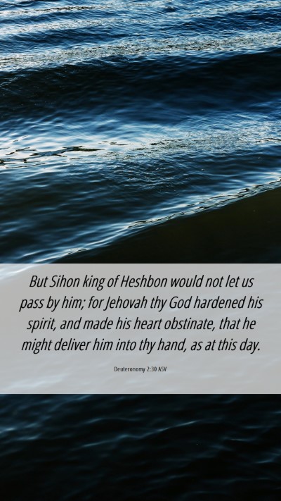 Picture 06 - Deuteronomy 2:30 ASV Mobile Phone Wallpaper - But Sihon king of Heshbon would not let us pass - Mobile Bible Verse Wallpaper