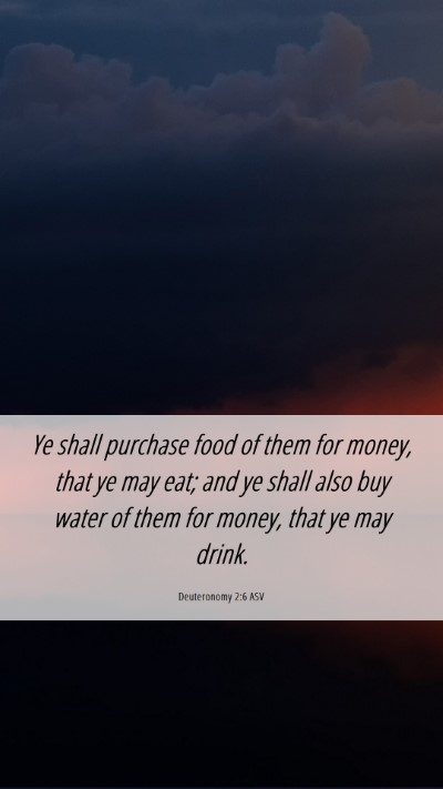 Picture 06 - Deuteronomy 2:6 ASV Mobile Phone Wallpaper - Ye shall purchase food of them for money, that ye - Mobile Bible Verse Wallpaper