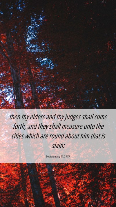 Picture 06 - Deuteronomy 21:2 ASV Mobile Phone Wallpaper - then thy elders and thy judges shall come forth, - Mobile Bible Verse Wallpaper