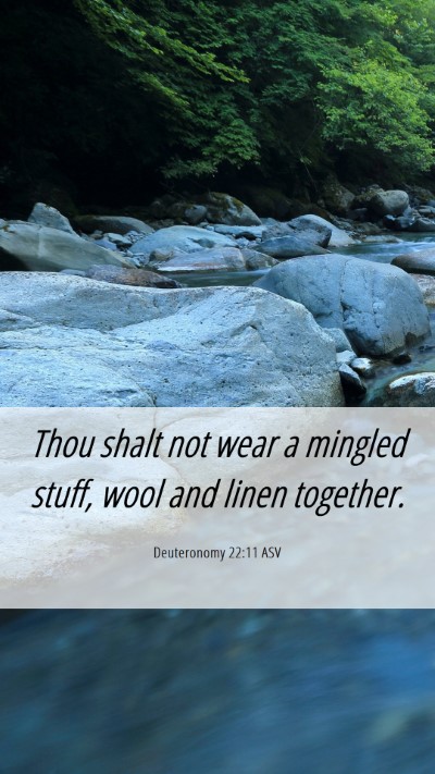 Picture 06 - Deuteronomy 22:11 ASV Mobile Phone Wallpaper - Thou shalt not wear a mingled stuff, wool and - Mobile Bible Verse Wallpaper