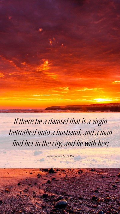 Picture 06 - Deuteronomy 22:23 ASV Mobile Phone Wallpaper - If there be a damsel that is a virgin betrothed - Mobile Bible Verse Wallpaper