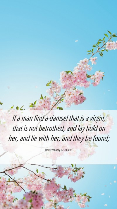 Picture 06 - Deuteronomy 22:28 ASV Mobile Phone Wallpaper - If a man find a damsel that is a virgin, that is - Mobile Bible Verse Wallpaper
