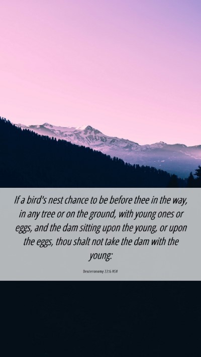 Picture 06 - Deuteronomy 22:6 ASV Mobile Phone Wallpaper - If a bird's nest chance to be before thee in the - Mobile Bible Verse Wallpaper