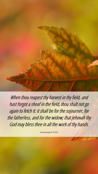 Picture 06 - Deuteronomy 24:19 ASV Mobile Phone Wallpaper - When thou reapest thy harvest in thy field, and - Mobile Bible Verse Wallpaper