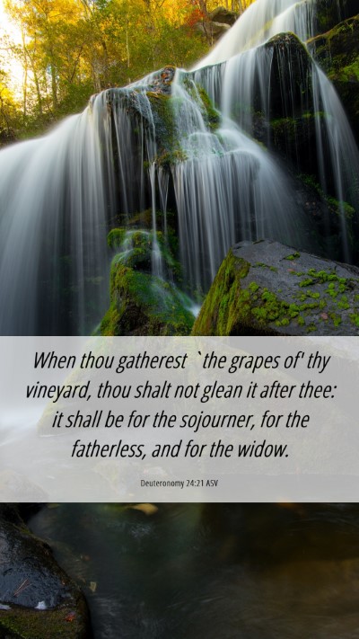Picture 06 - Deuteronomy 24:21 ASV Mobile Phone Wallpaper - When thou gatherest `the grapes of' thy vineyard, - Mobile Bible Verse Wallpaper