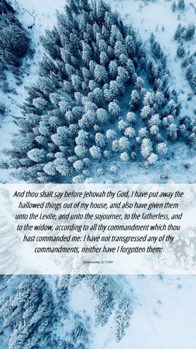 Picture 06 - Deuteronomy 26:13 ASV Mobile Phone Wallpaper - And thou shalt say before Jehovah thy God, I have - Mobile Bible Verse Wallpaper