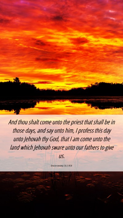 Picture 06 - Deuteronomy 26:3 ASV Mobile Phone Wallpaper - And thou shalt come unto the priest that shall be - Mobile Bible Verse Wallpaper