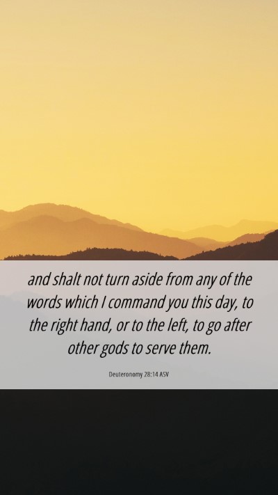 Picture 06 - Deuteronomy 28:14 ASV Mobile Phone Wallpaper - and shalt not turn aside from any of the words - Mobile Bible Verse Wallpaper