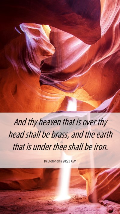 Picture 06 - Deuteronomy 28:23 ASV Mobile Phone Wallpaper - And thy heaven that is over thy head shall be - Mobile Bible Verse Wallpaper