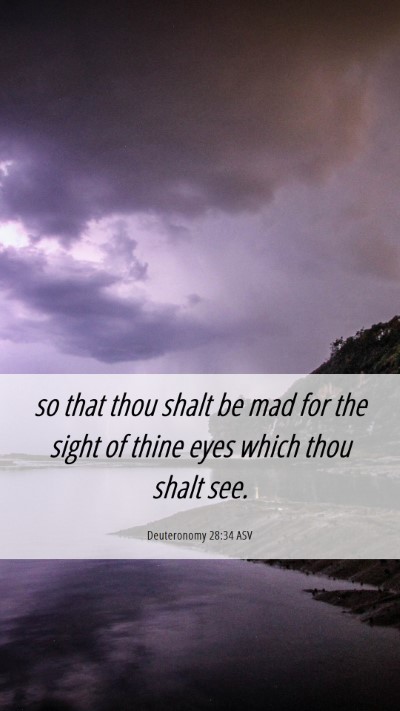 Picture 06 - Deuteronomy 28:34 ASV Mobile Phone Wallpaper - so that thou shalt be mad for the sight of thine - Mobile Bible Verse Wallpaper