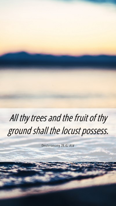 Picture 06 - Deuteronomy 28:42 ASV Mobile Phone Wallpaper - All thy trees and the fruit of thy ground shall - Mobile Bible Verse Wallpaper