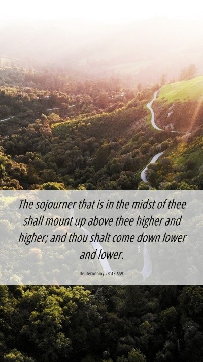 Picture 06 - Deuteronomy 28:43 ASV Mobile Phone Wallpaper - The sojourner that is in the midst of thee shall - Mobile Bible Verse Wallpaper
