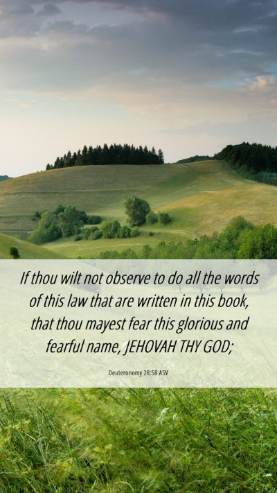 Picture 06 - Deuteronomy 28:58 ASV Mobile Phone Wallpaper - If thou wilt not observe to do all the words of - Mobile Bible Verse Wallpaper