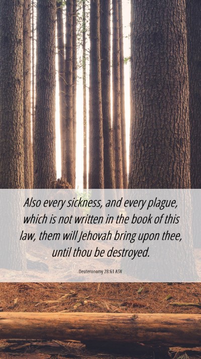 Picture 06 - Deuteronomy 28:61 ASV Mobile Phone Wallpaper - Also every sickness, and every plague, which is - Mobile Bible Verse Wallpaper