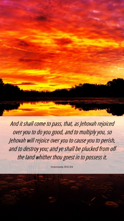 Picture 06 - Deuteronomy 28:63 ASV Mobile Phone Wallpaper - And it shall come to pass, that, as Jehovah - Mobile Bible Verse Wallpaper