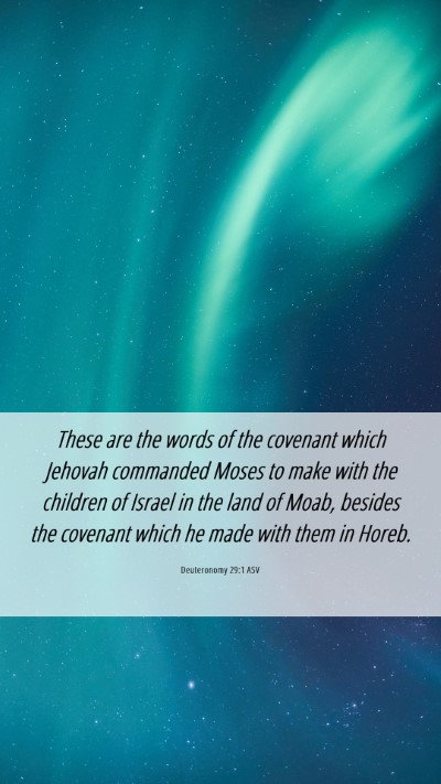 Picture 06 - Deuteronomy 29:1 ASV Mobile Phone Wallpaper - These are the words of the covenant which Jehovah - Mobile Bible Verse Wallpaper