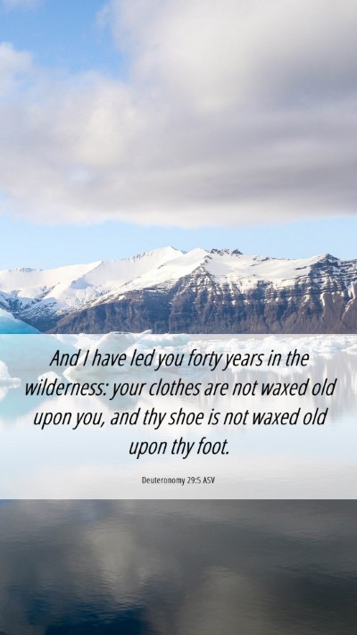 Picture 06 - Deuteronomy 29:5 ASV Mobile Phone Wallpaper - And I have led you forty years in the wilderness: - Mobile Bible Verse Wallpaper