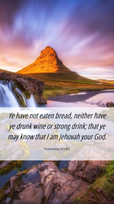 Picture 06 - Deuteronomy 29:6 ASV Mobile Phone Wallpaper - Ye have not eaten bread, neither have ye drunk - Mobile Bible Verse Wallpaper