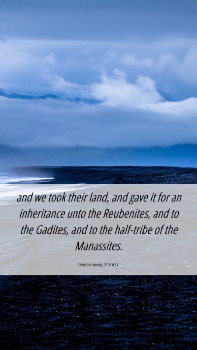 Picture 06 - Deuteronomy 29:8 ASV Mobile Phone Wallpaper - and we took their land, and gave it for an - Mobile Bible Verse Wallpaper